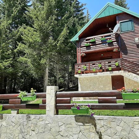 Villa Tanjuska à Žabljak Extérieur photo