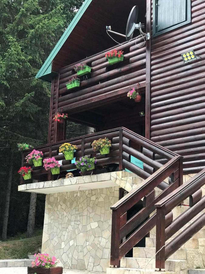 Villa Tanjuska à Žabljak Extérieur photo