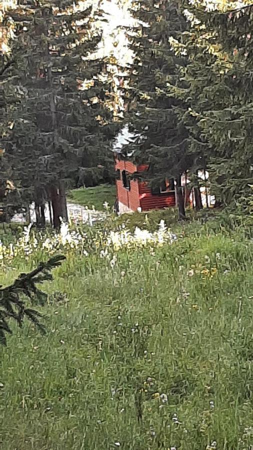 Villa Tanjuska à Žabljak Extérieur photo